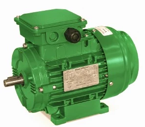 Motor Elétrico TFVE IR3 em Ferro Fundido